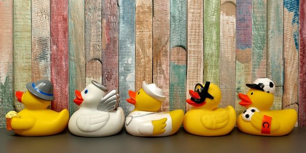 rubber ducks, bath ducks, bathing fun-3412065.jpg